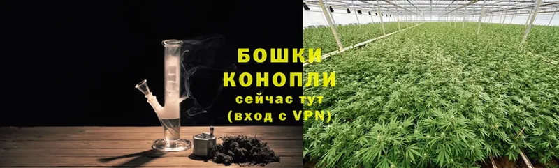 сайты даркнета Telegram  купить наркотики сайты  Суоярви  Канабис White Widow 